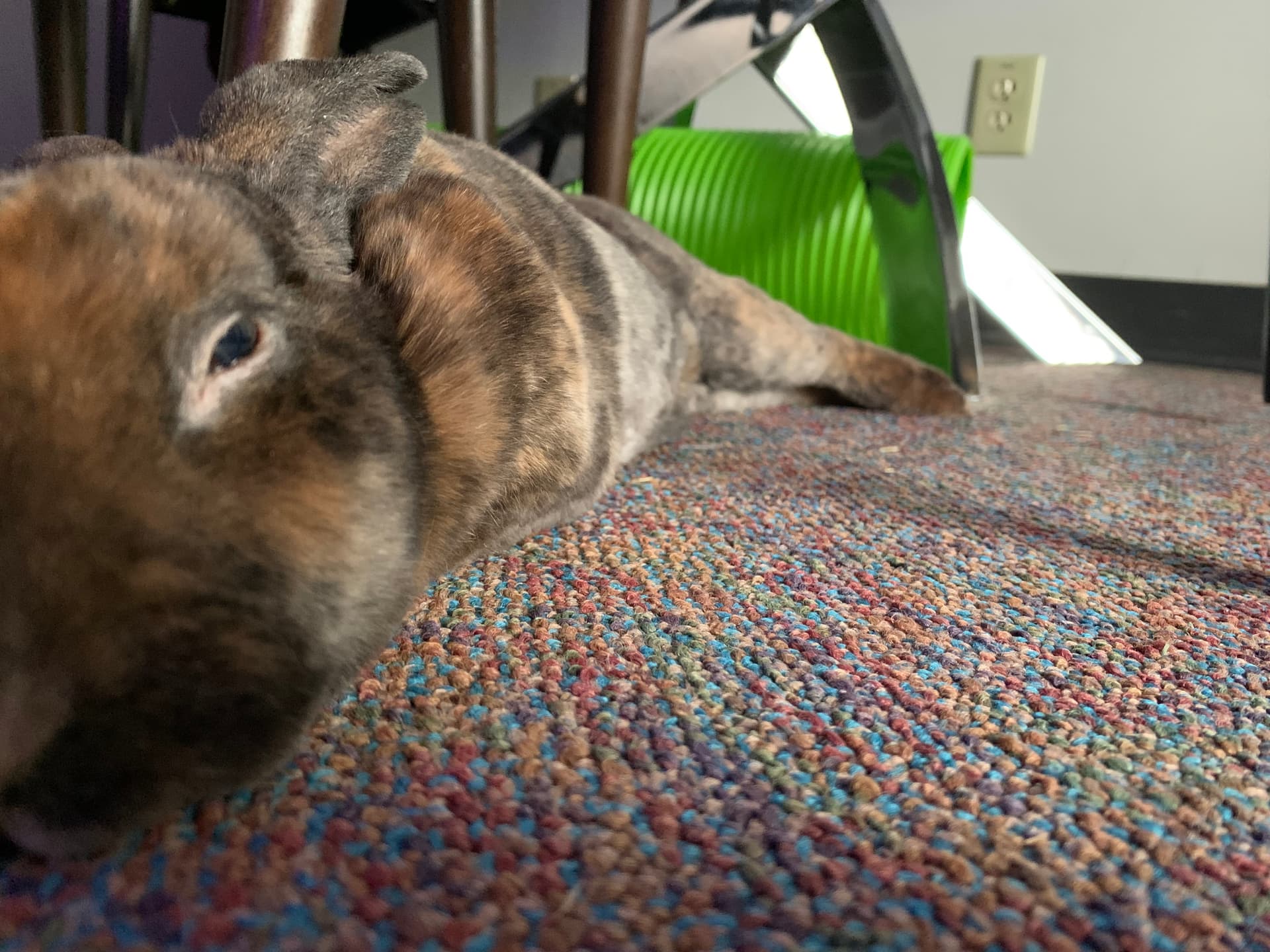 Benny image 4