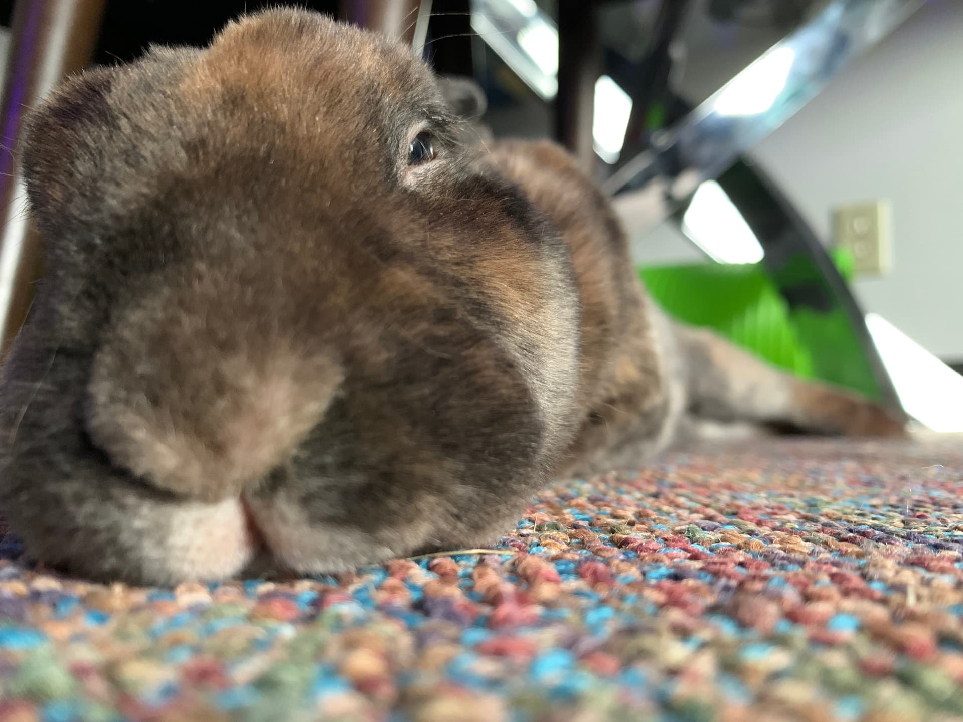 Benny image 5
