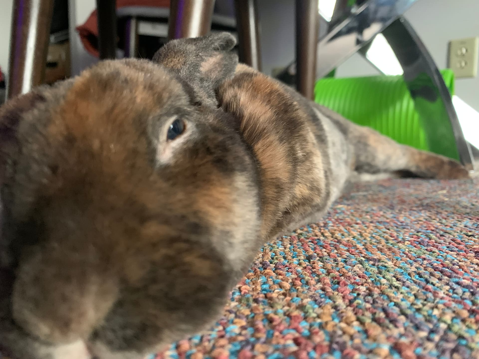 Benny image 6
