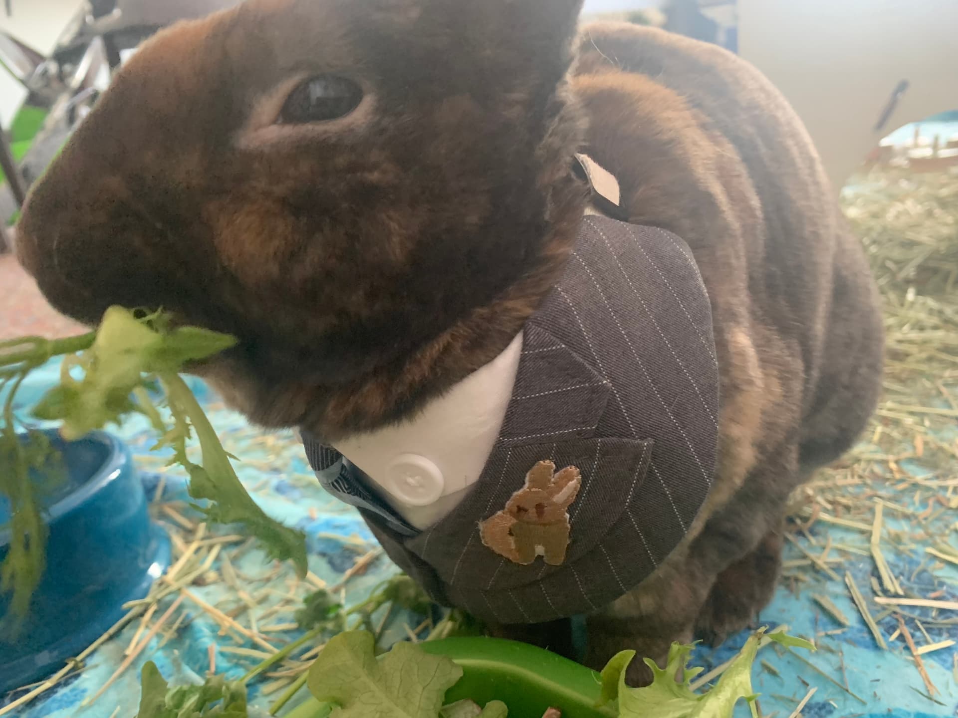 Benny image 7