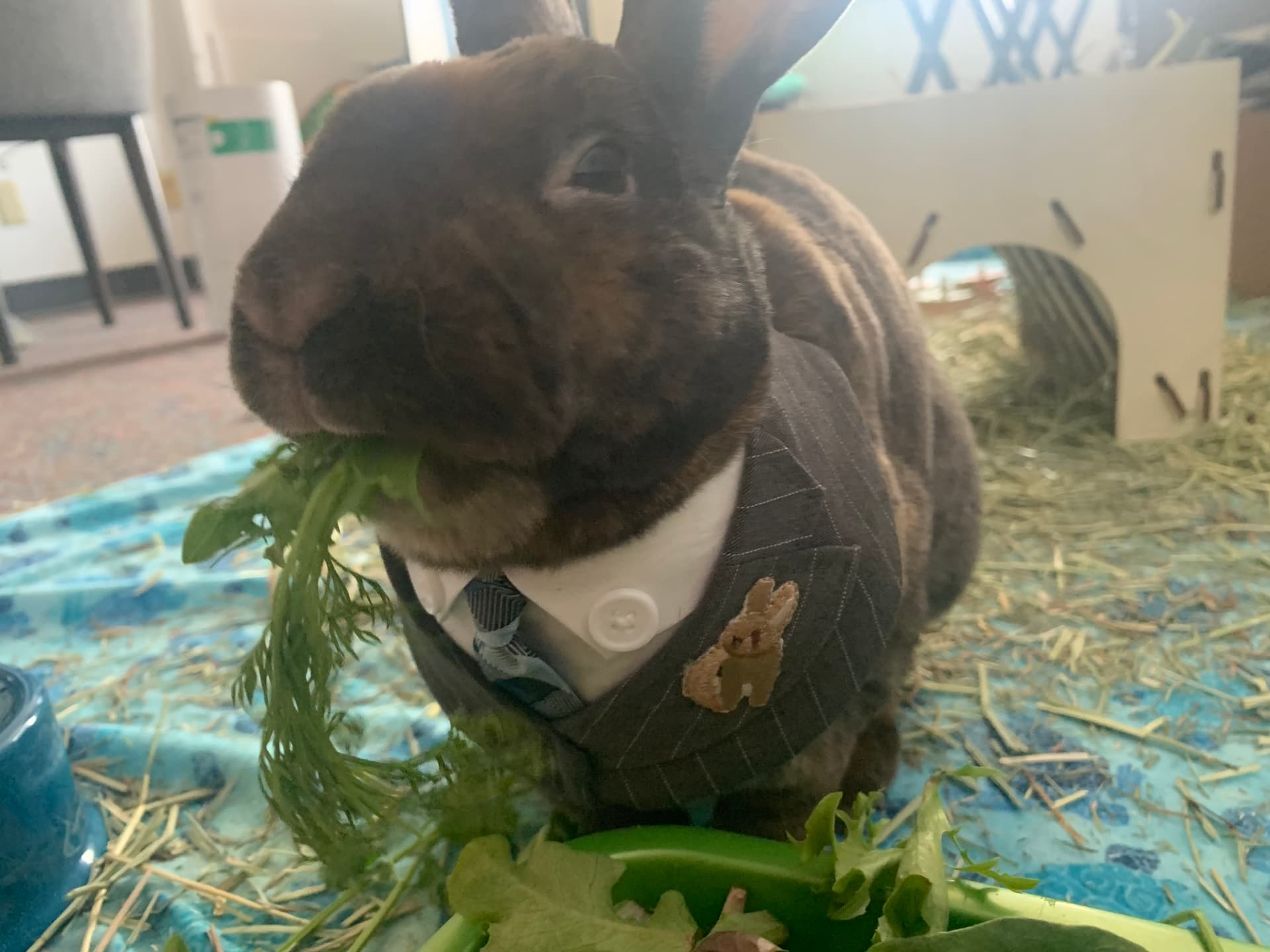 Benny image 8