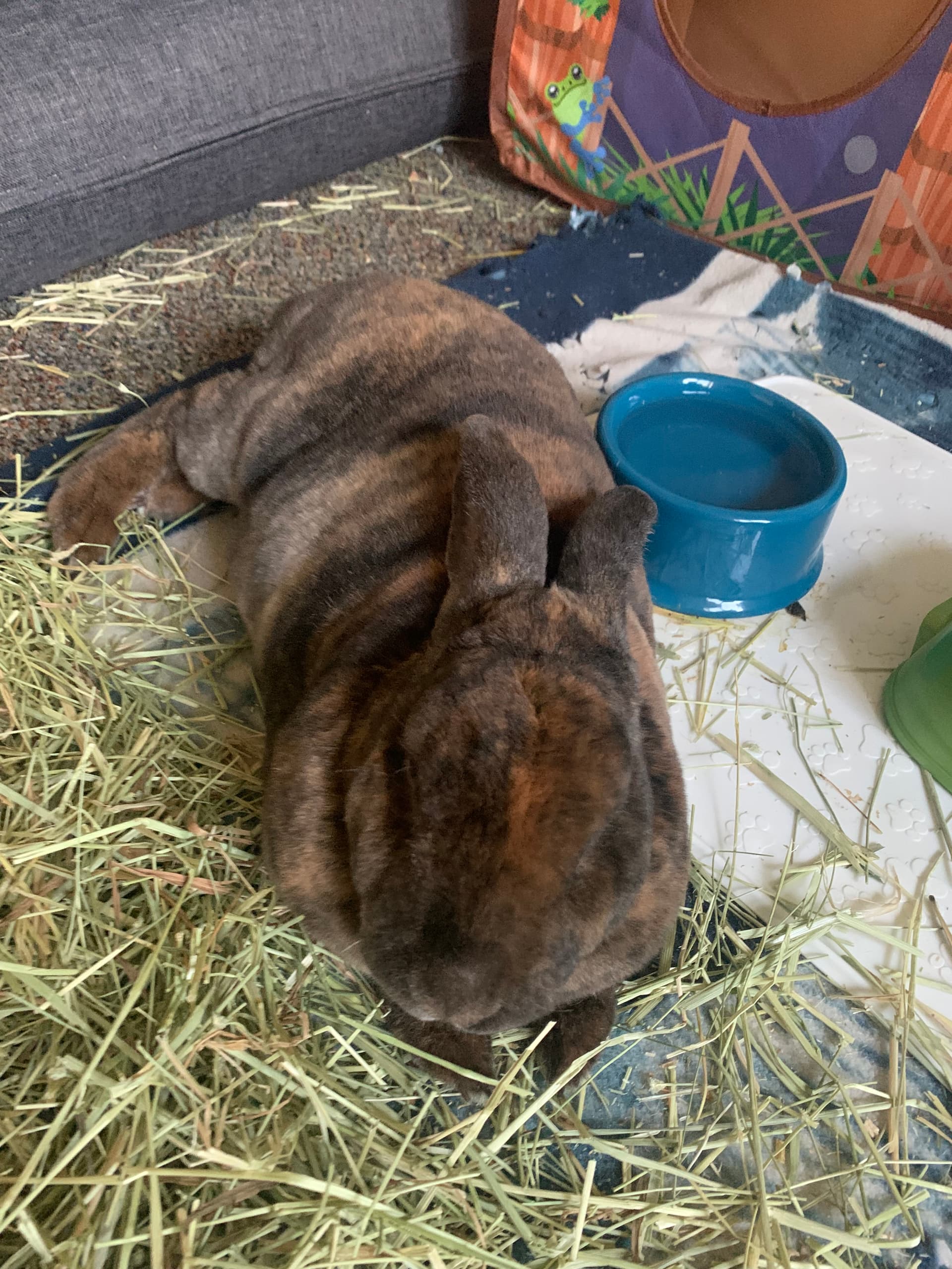 Benny image 13